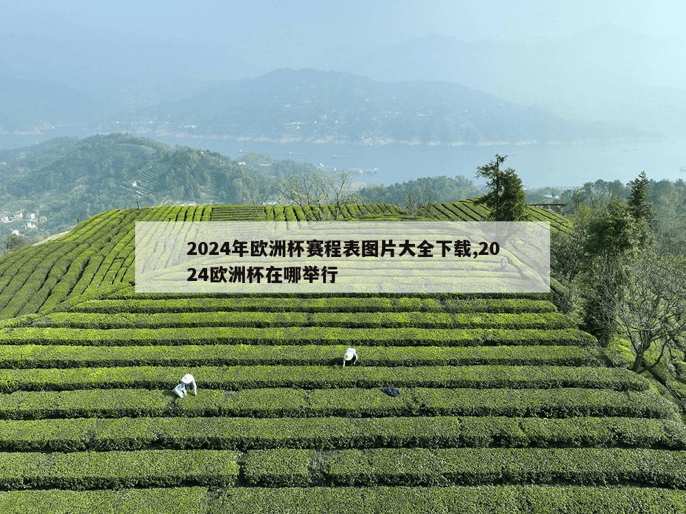 2024年欧洲杯赛程表图片大全下载,2024欧洲杯在哪举行