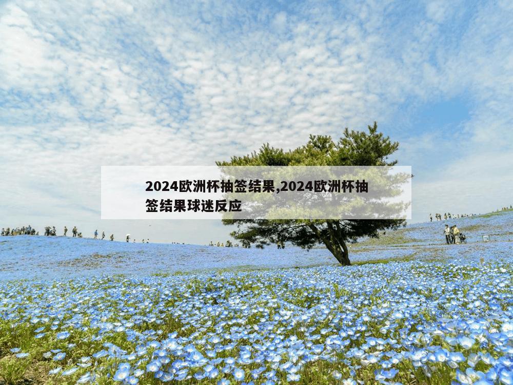 2024欧洲杯抽签结果,2024欧洲杯抽签结果球迷反应