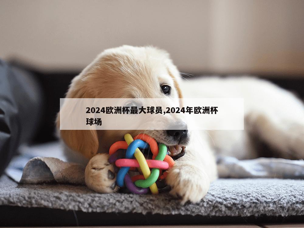 2024欧洲杯最大球员,2024年欧洲杯球场