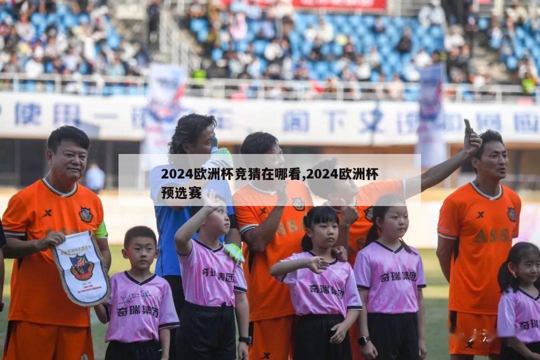 2024欧洲杯竞猜在哪看,2024欧洲杯预选赛