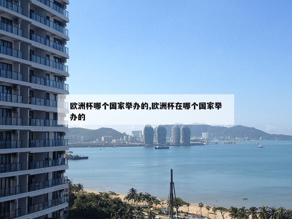 欧洲杯哪个国家举办的,欧洲杯在哪个国家举办的