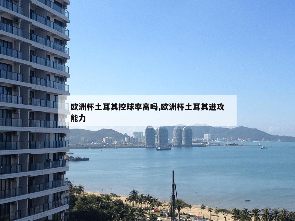 欧洲杯土耳其控球率高吗,欧洲杯土耳其进攻能力